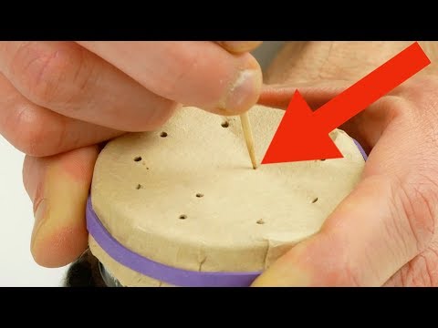 mit-diesen-8-tipps-wird-dein-garten-zum-hit.-für-nr.-4-brauchst-du-3-zahnstocher.