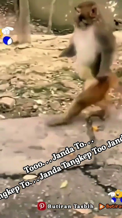 To Janda To. . . Janda. . .
