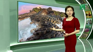 Bản tin Thời tiết Du lịch 08/03/2020| VTC14