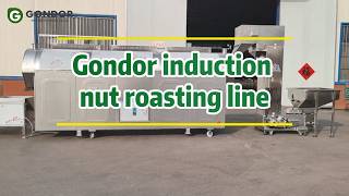 🥜🔥Fully Automated Electromagnetic Nut Roasting Production Line for Snacks and Grains#nutrosating