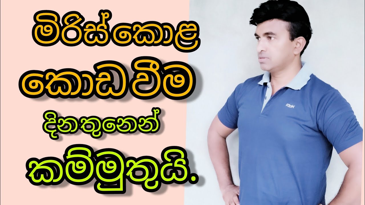 මිරිස් කොළ කොඩ කරන මයිටාවා, කූඩිත්තා,පැළ මැක්කා,නසන බෙහෙත් දෙකක්/ රොහාන් ග්ලෙන්ෂිල් පෙරේරා