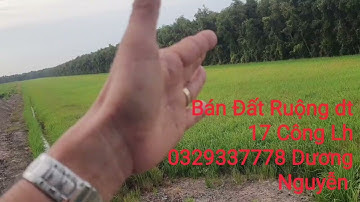 Nhà Đất Bán Đất Ruộng dt 17 Công Giá 120tr Công Mộc Hóa LA