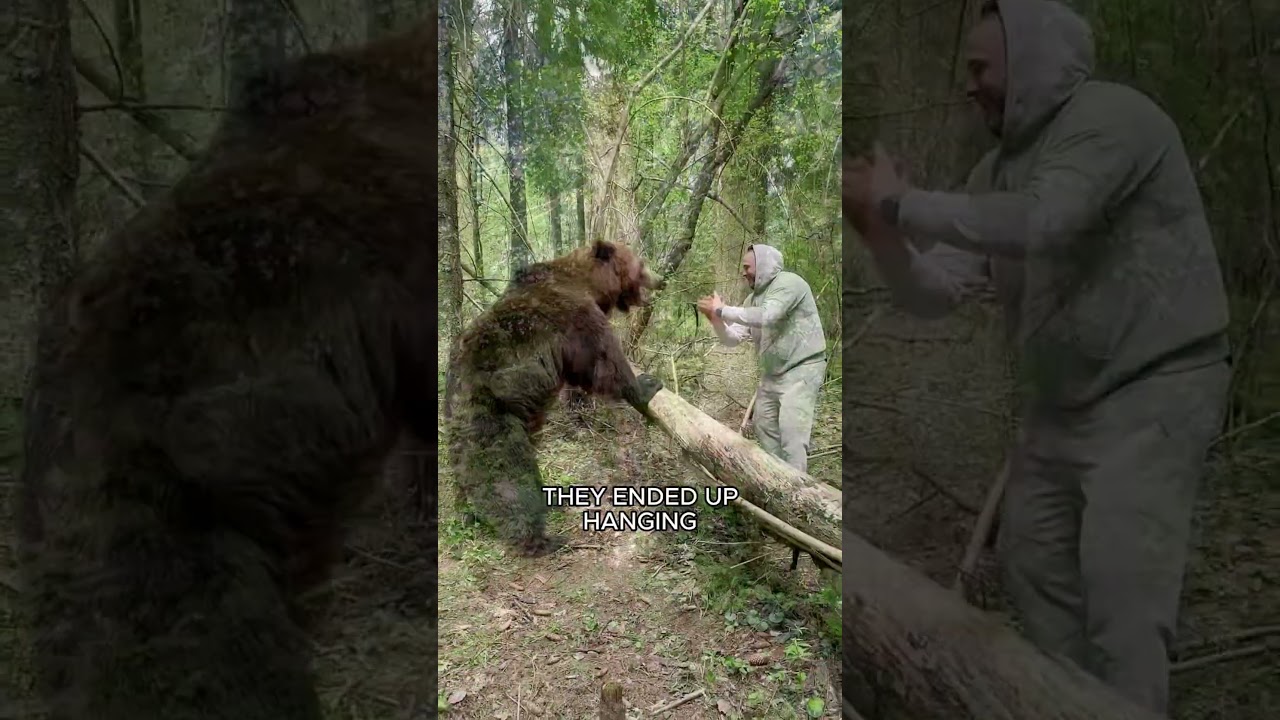 BEAR FLIRTING HARD 😂