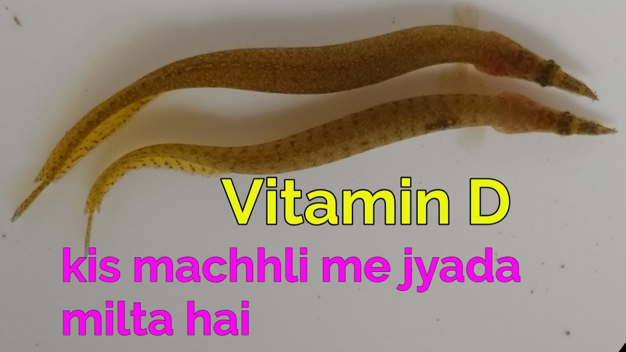 Kis machhli me vitamin D jyada milta hai Vitamin D ke kami se kya