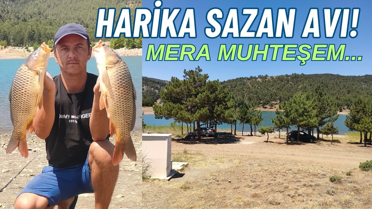 MUHTEŞEM SAZAN AVI//DOĞA HARİKASI MERADA BALIK AVI VE KAMP.#carp #sazan #camping #fishing #balık