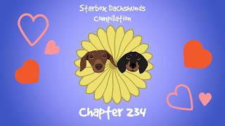 Starbox Dachshunds Compilation Chapter 234