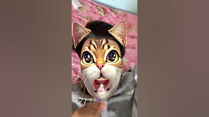 kucing pingin susu 🍼🐱 #fypシ