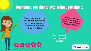Part 1: HSC Ag Phases of agricultural plant growth