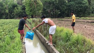 Nature lover’s nature trip philippines elyu launion