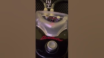Danelectro Black Licorice suboctave fuzz pedal