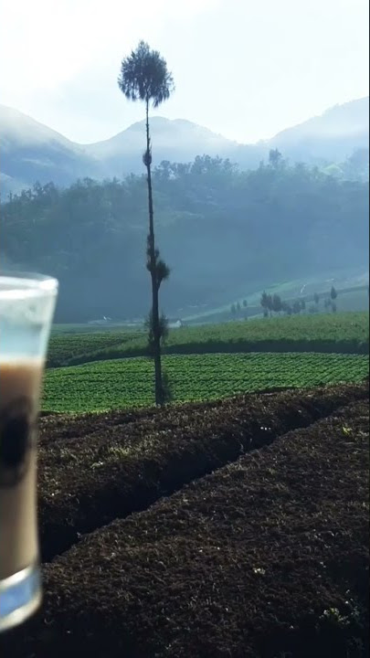 Nikmatnya, pagi' ngopi dilereng gunung #shorts #enjoy #gunung