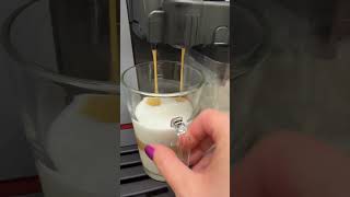 Gaggia Cadorna Prestige ☕️ Milk Carafe Install &amp; Cappuccino ASMR
