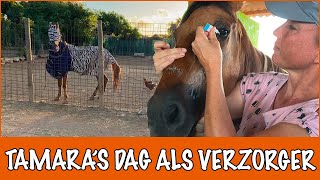 Wat moet er allemaal dagelijks gebeuren? | DierenpraatTV