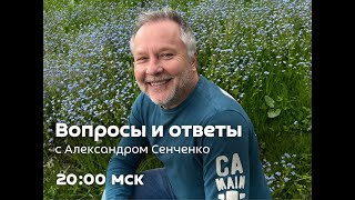 картинка: Эфир «Вопросы и ответы» с Александром Сенченко, основателем сообщества «Новая Норма» ✨