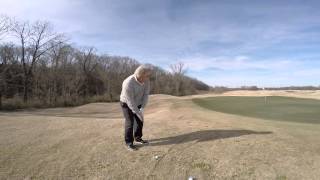 Harry Taylor Golf