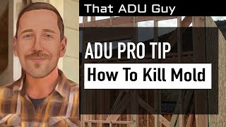 ADU pro tip: How to kill mold