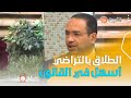 صباح الشروق تعرف على الفرق بين الخلع والطلاق بالتراضي مع المحامي حسان ابراهيمي