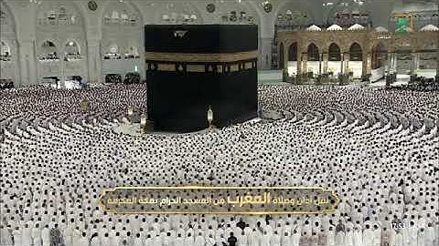 تلاوة هادئة تأسر القلب لسورتي الفلق والناس للشيخ د. #الوليد_الشمسان مغرب 12 جمادى الآخرة 1446هـ