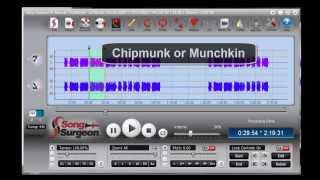 Audio: Chipmunk or Munchkin sound elimination