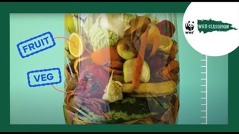 Why does food waste matter?