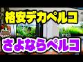 高すぎデカペルコを約10,000円安く売るショップ!そしてさようなら黒ペルコ1年でリセットへ【ビバアクア】#アクアリウム #熱帯魚