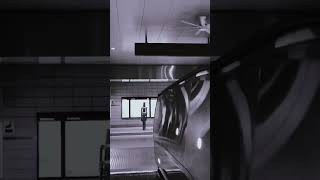 Hyperlapse #videography #funny #cute #mrt #dog #gardenbythebay