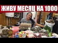 КАК ПРОЖИТЬ на 1000 рублей 30 ДНЕЙ (1-3 день)