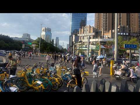 Commute to work in downtown China be like 锡兰Ceylan王志安老高與小茉陈秋实徐晓冬老雷乐乐法利小Lin说，liziqi李子柒，李兰斯白鹏白爷说事儿