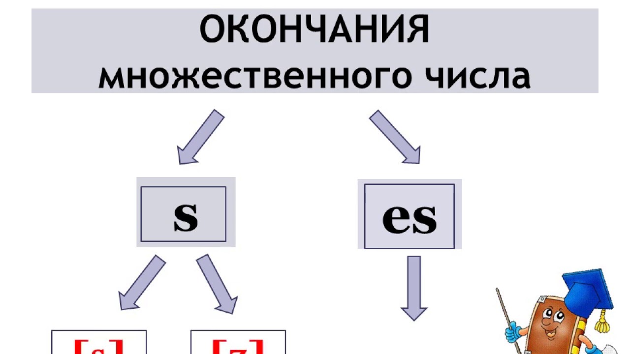 Удача множественное число. Чтение окончание. Муравей во множественном числе. Watch множественное число.