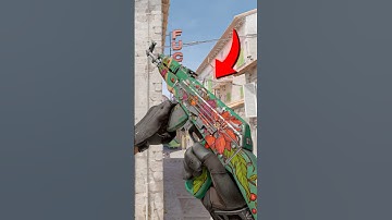 САМЫЙ СТРАННЫЙ КОЛЛЕКЦИОНЕР В CS2! #cs2 #кс2