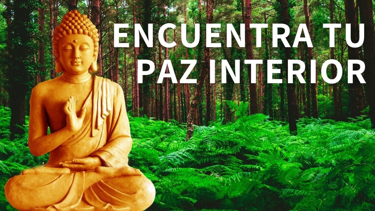 Visualización para la Paz Interior