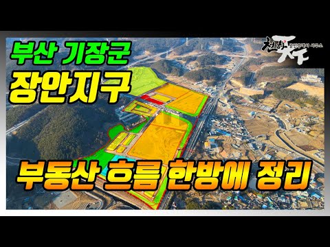 부산 부동산 흐름 간단정리 (feat.장안지구)
