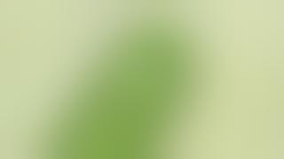 Cypis/Mokra Jolanta - Pan Ogórek (Prod.Floras)