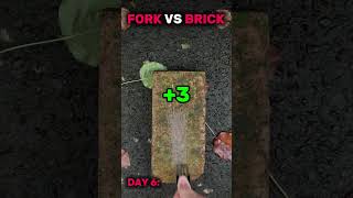 Day 6 of scraping a brick with a fork until one runs out