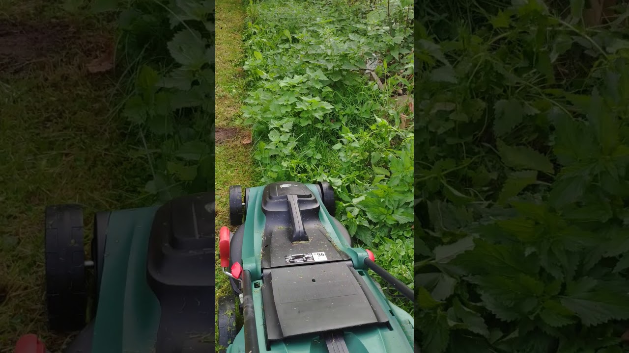 Lidl Parkside Electric Lawnmower At Work Youtube