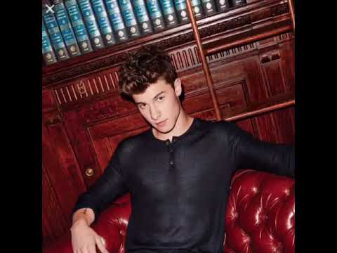 Hot Shawn Mendes Pics 2016-2017