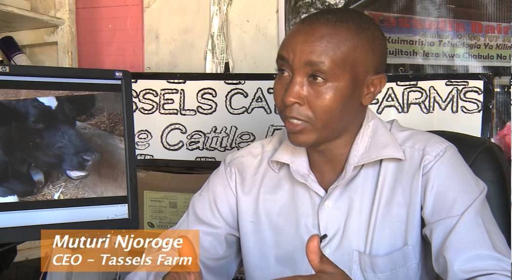 TASSELS FARM YouTube