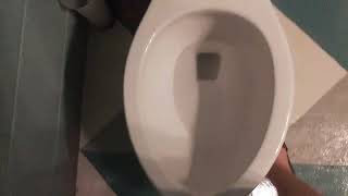 2013 Gerber Maxwell Toilet.