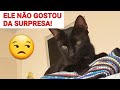 SURPRESA PARA O JÚLIO 🙆🏻‍♂️😂😾 | Júlio e Eu