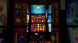 MERKUR MULTI WILD 243 auf 100€ EINSATZ