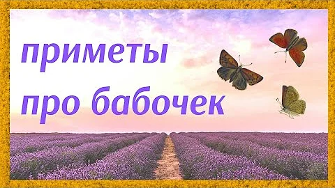 Народные приметы про бабочек!