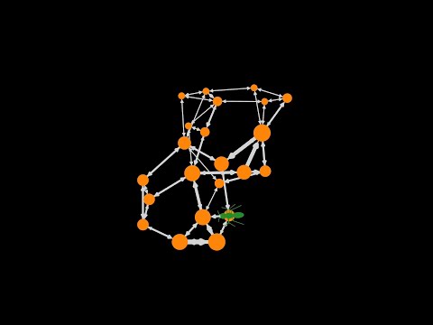 PageRank by Ant
