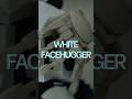 I Built a White Facehugger from LEGO