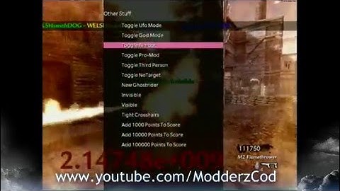 call of duty 5 modz ( new menu )