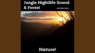 Forest Noise, White Noise (Loopable)