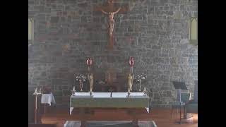 10:30 AM Sunday Mass 07/19/2026