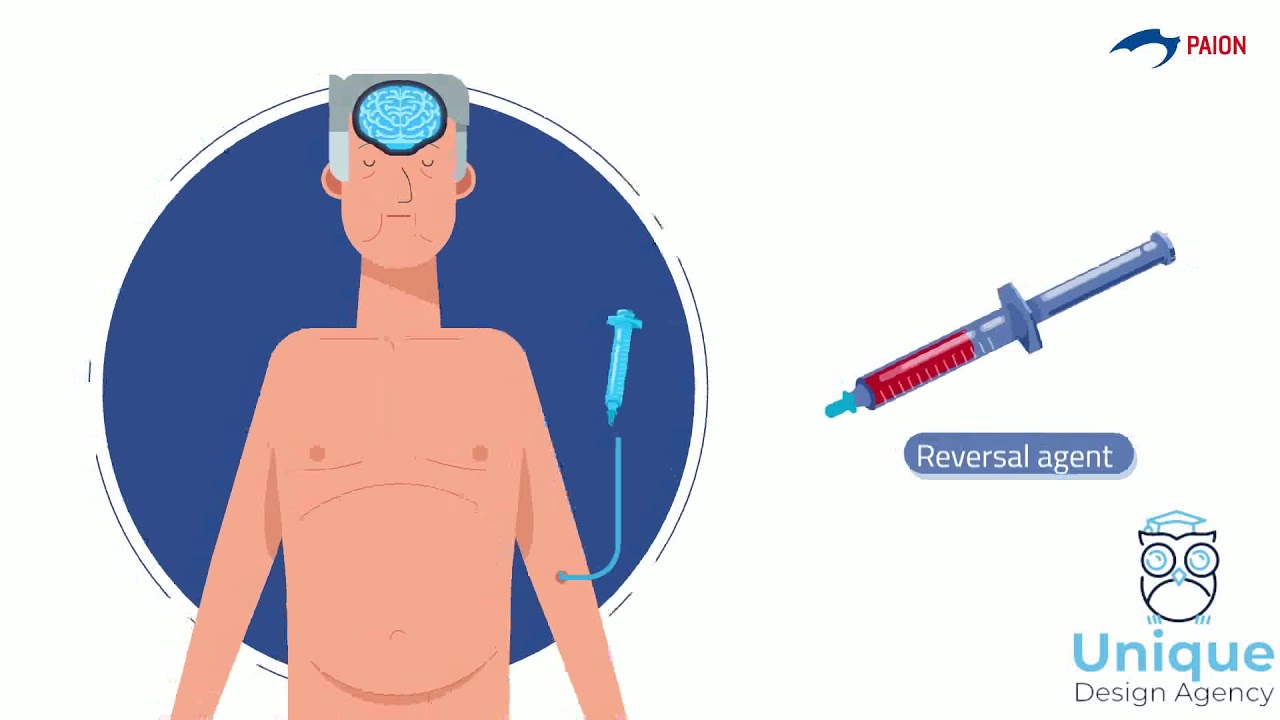 Paion PAION - InfoGraphics Animated Video - YouTube