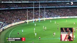 Elimination Final 2014 - North Melbourne v Essendon Highlights