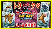 どっちが強い 海の頂上決戦 サメvsメカジキ 水中最恐バトルで海の王者が決まる 漫画 対決 Youtube