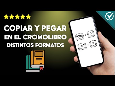 ¿Cómo copiar y pegar en el CROMOLIBRO distintos formatos? - Guía rápida